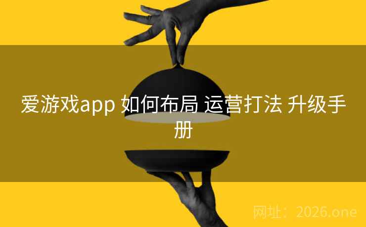 爱游戏app 如何布局 运营打法 升级手册