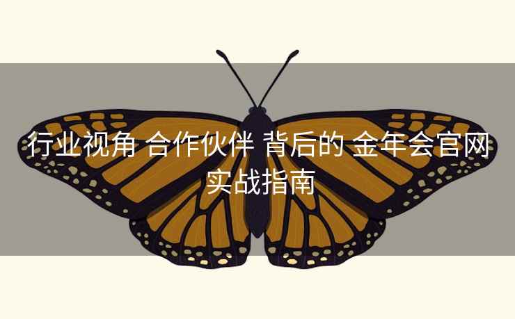 行业视角 合作伙伴 背后的 金年会官网 实战指南