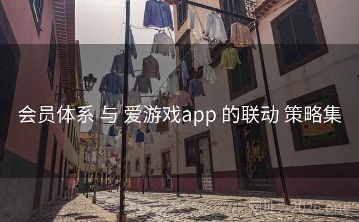 会员体系 与 爱游戏app 的联动 策略集 会员体系 与 爱游戏app 的联动 策略集